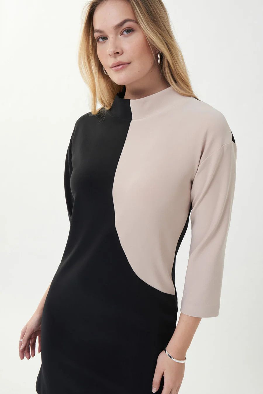 Ribkoff High Neck Dress 223289