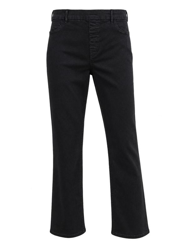 Point Zero Pull On Jeans 8766033