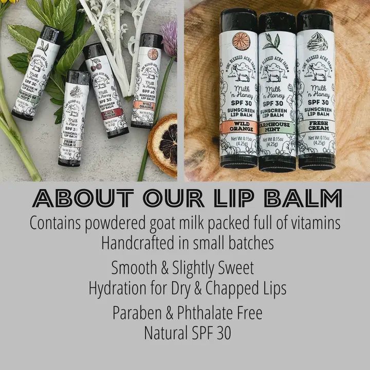 Milk &amp; Honey Goat Milk Lip Balm