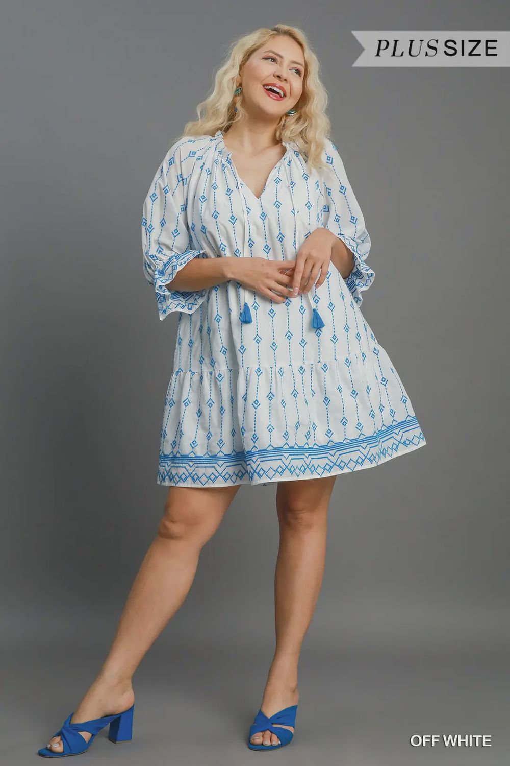 Embroidery A Line Dress