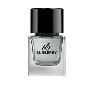 BURBERRY MR BURBERRY edt 50 ml