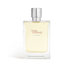 HERMÈS TERRE D&#39;HERMÈS EAU GIVRÉE eau de parfum refillable 100 ml
