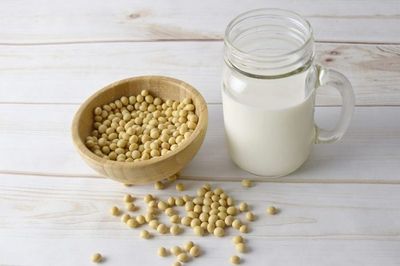 Les laits végétaux