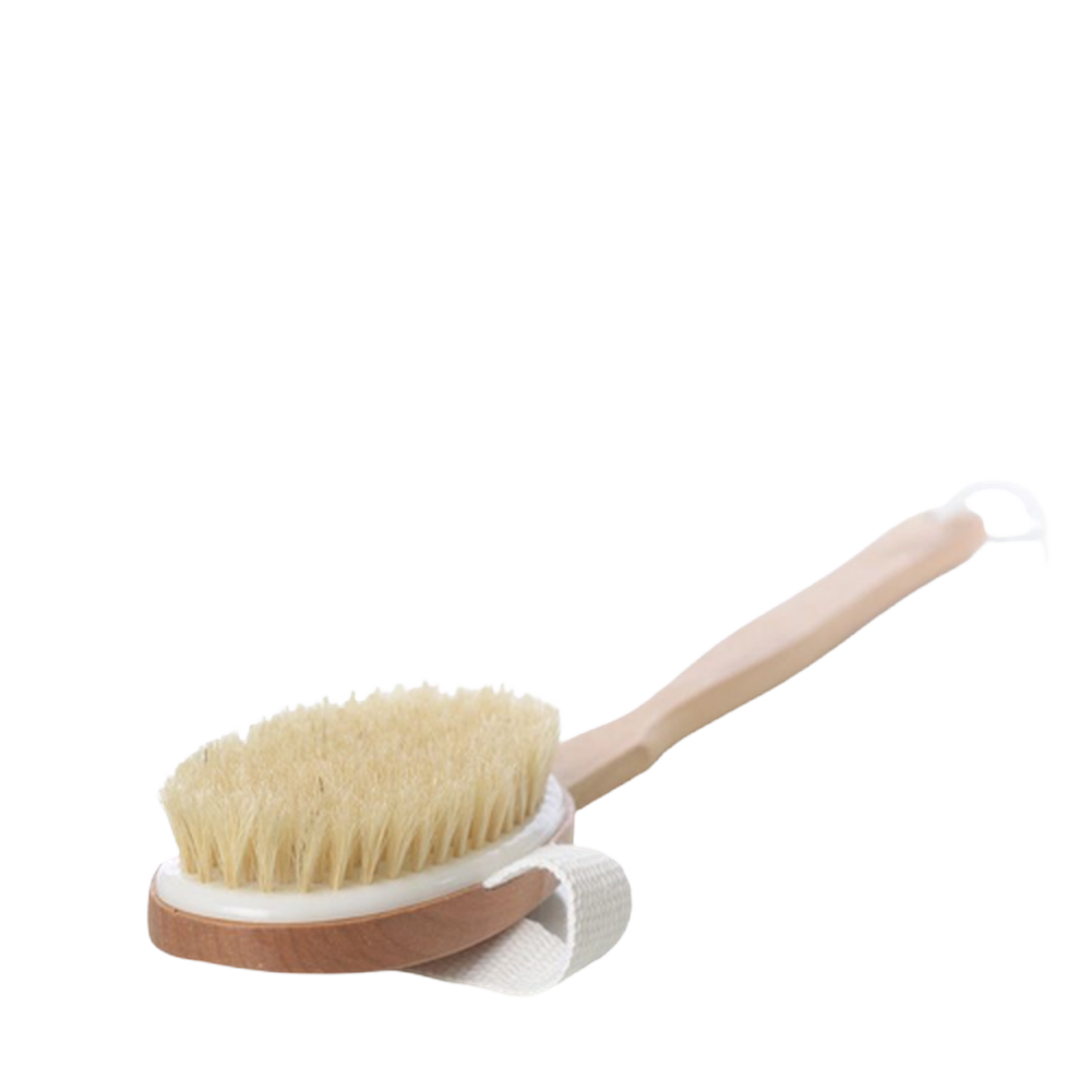 Brush - Back and body