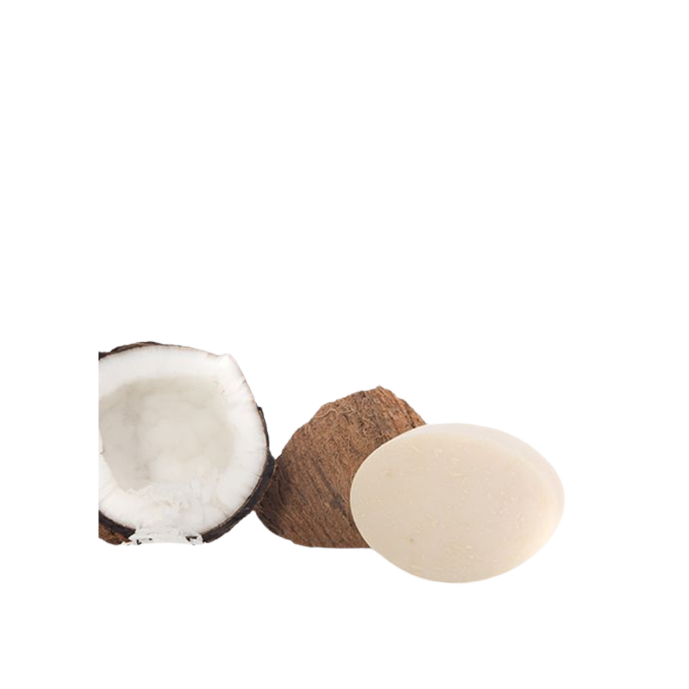 The Soap - Coconut Exfoliant