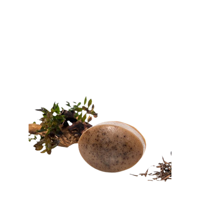 The Soap - Wild Acadian Algae 85g