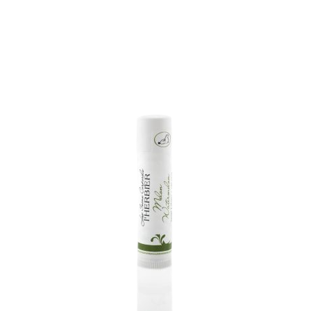 Lip balm - Melon