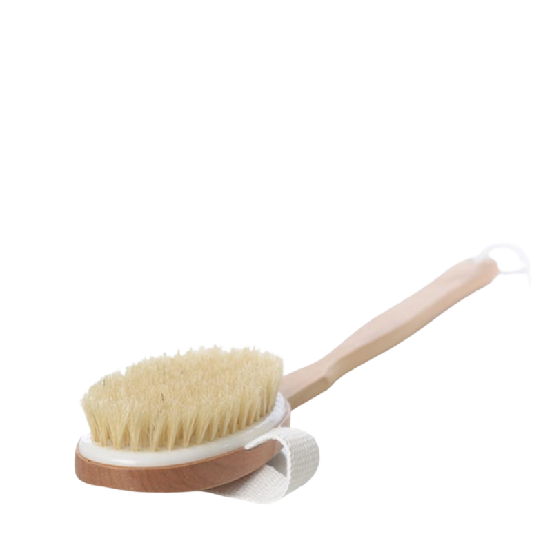 Brush - Back and body