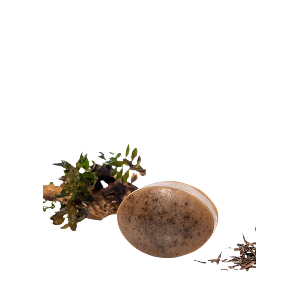 The Soap - Wild Acadian Algae 85g