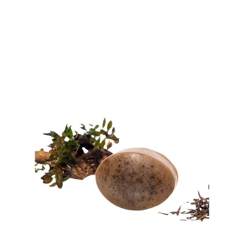 The Soap - Wild Acadian Algae 85g