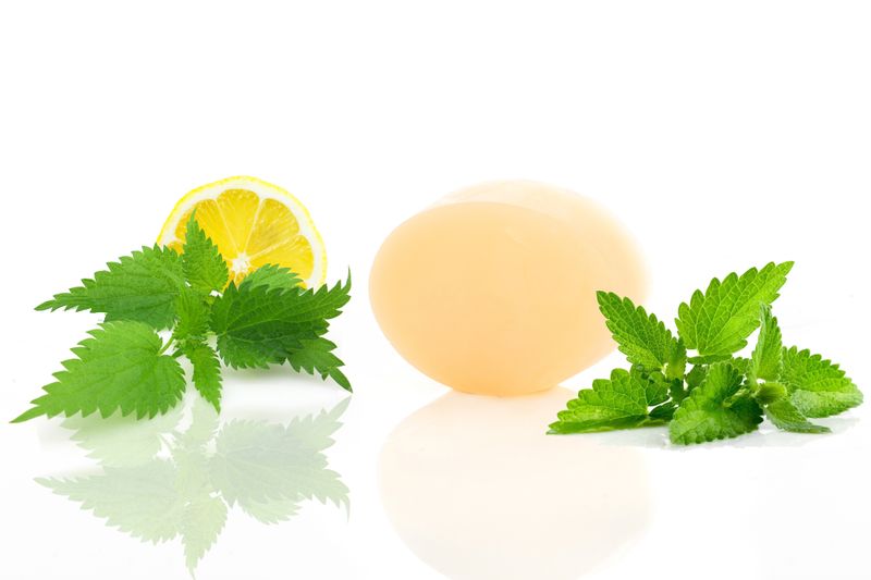 Le Savon – Citronnella 85 g