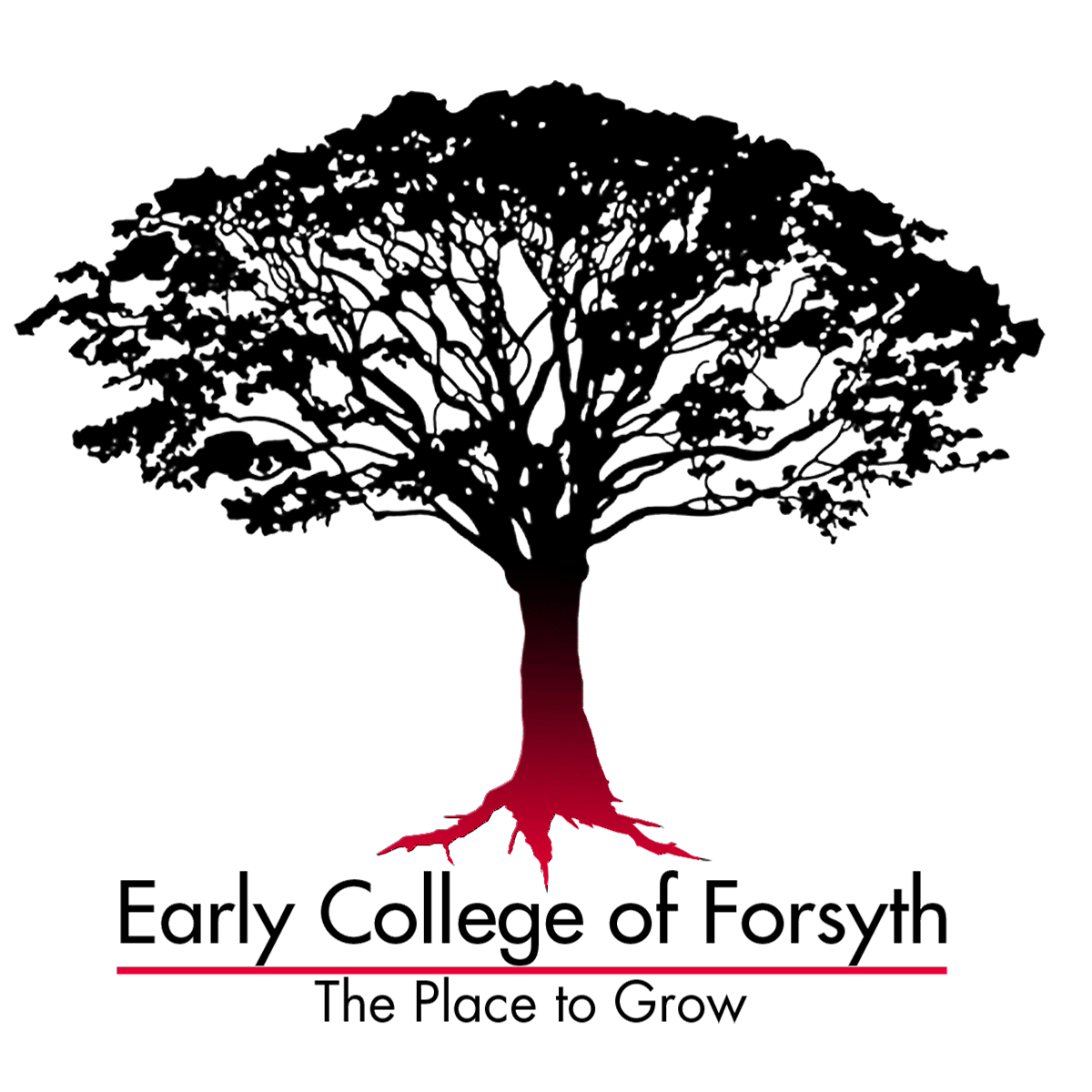 Early College of Forsyth County Logo