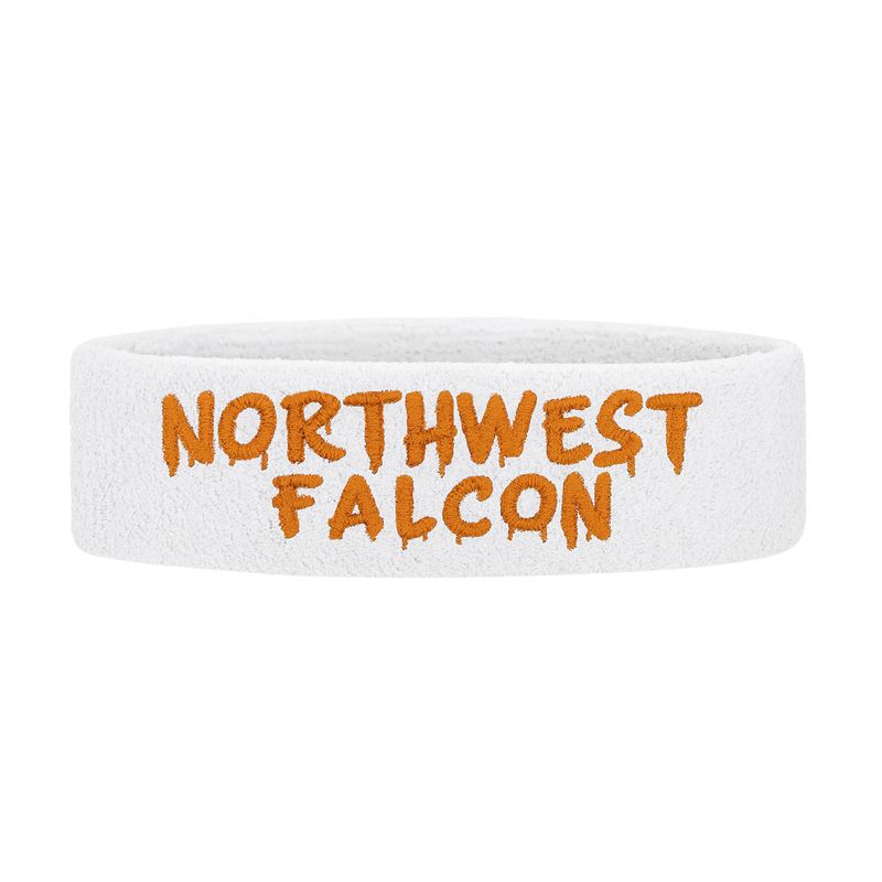 "Northwest Falcon" Headband