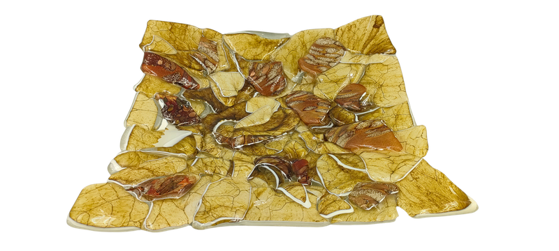 Patera Kwadratowa 