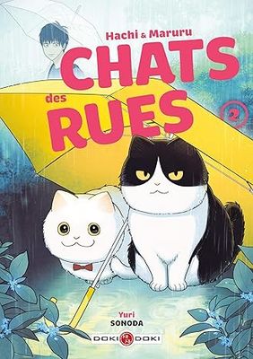 Hachi &amp; Maruru - Chats des rues - Tome 02
