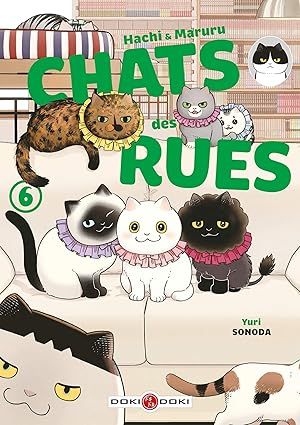 Hachi &amp; Maruru - Chats des rues - Tome 06