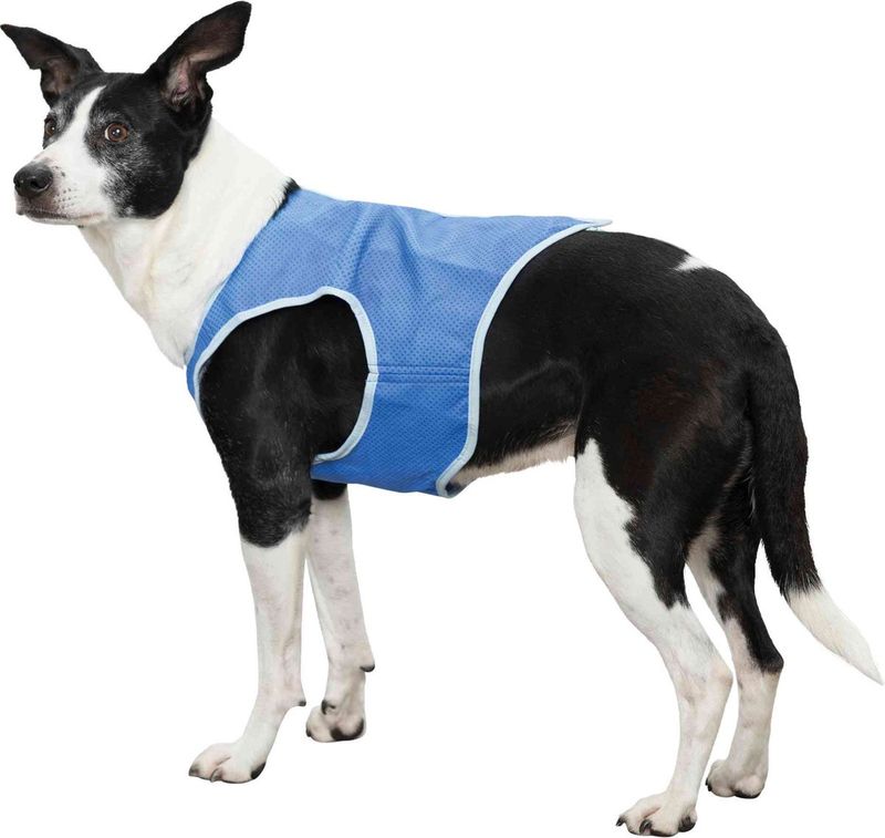 koelvest L    30134