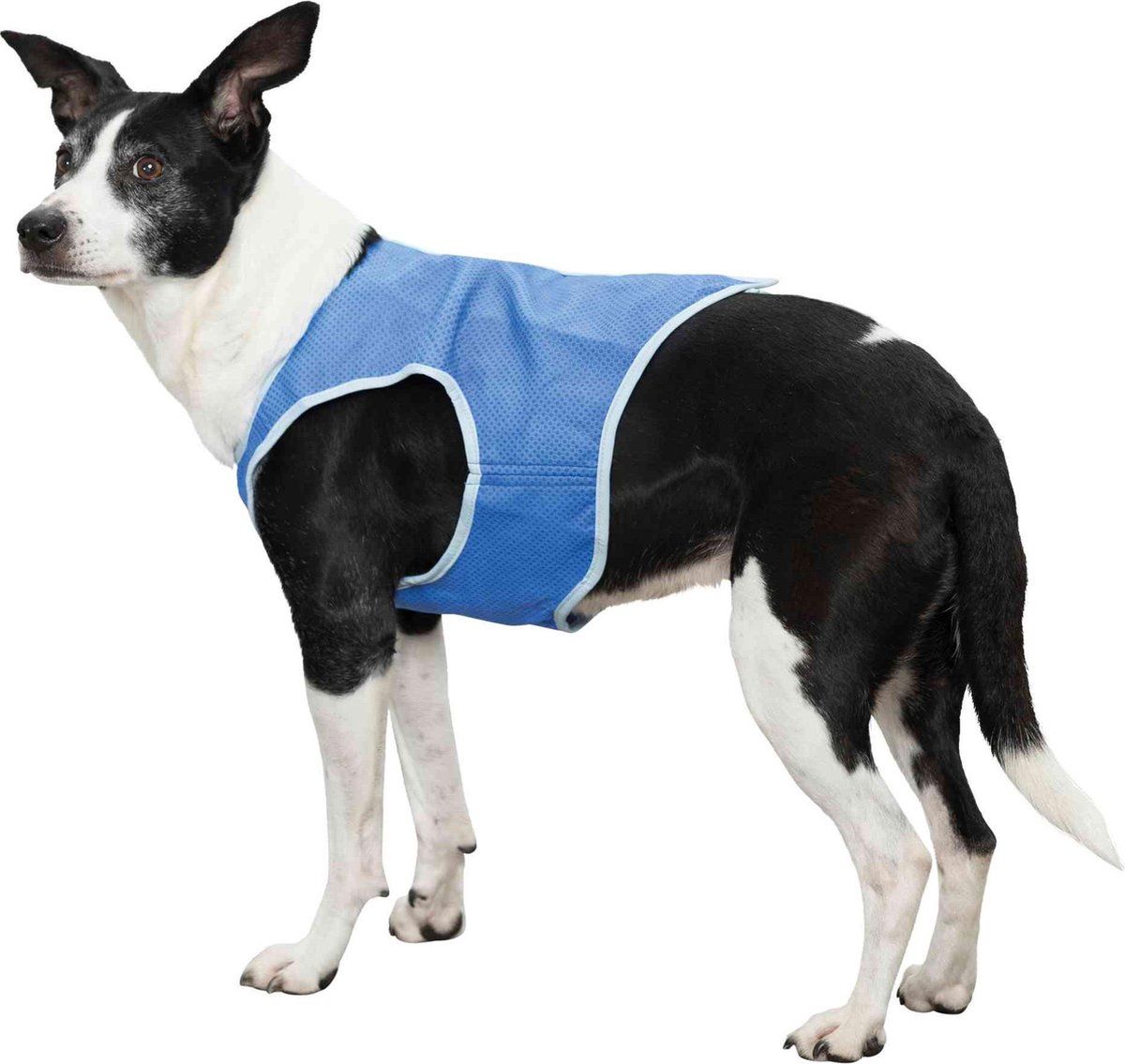 Koelvest    30135