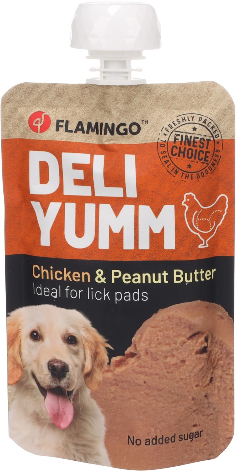 Snack Deli Yumm Pasta met kip &amp; Pindakaas 523417