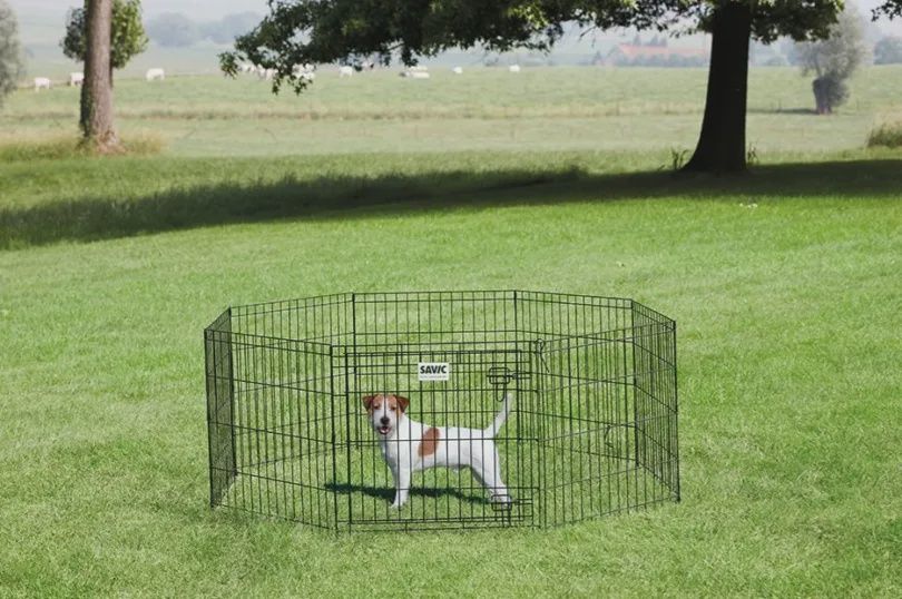 DOG PARK 1  61*61CM HONDEN REN   380050000