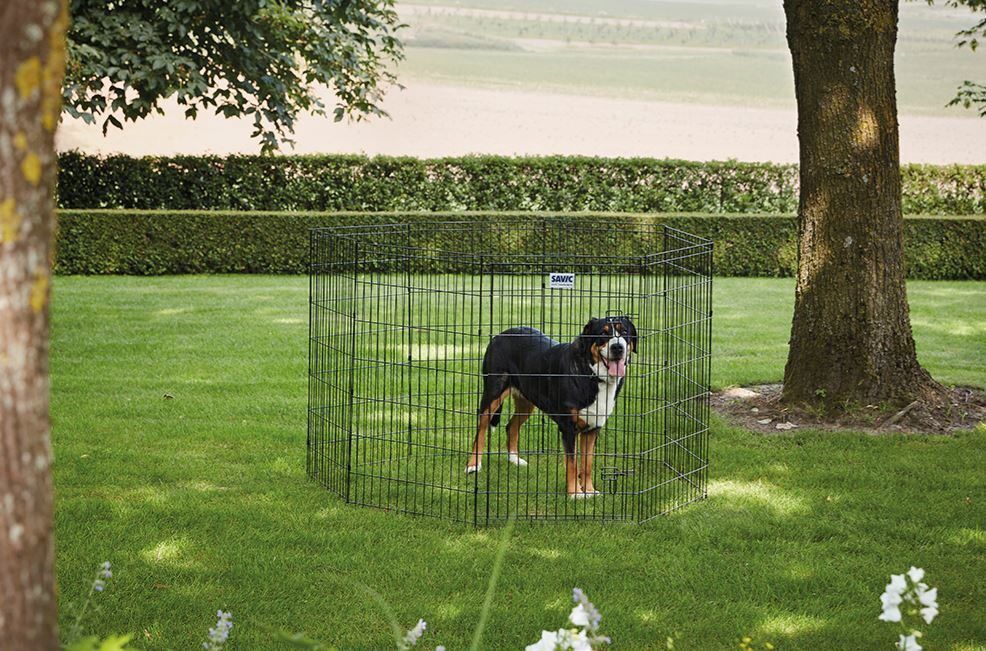 DOG PARK 3 - 61*107CM HONDEN REN   380052000