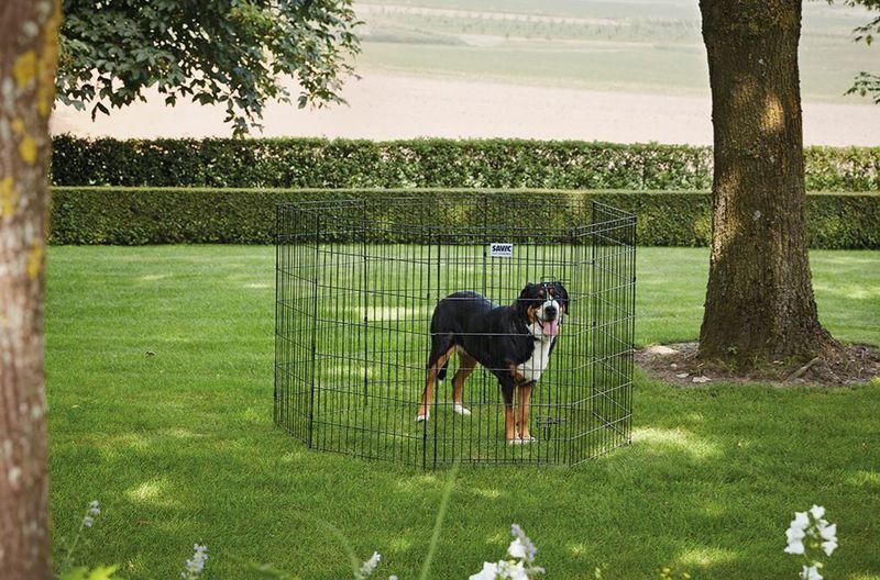 DOG PARK 3 - 61*107CM HONDEN REN   380052000