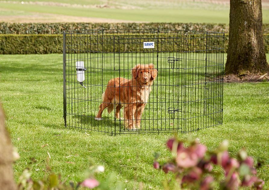 DOG PARK 2 - 61*91CM HONDEN REN   380051000
