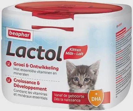 15191 KITTEN MILK LACTOL 250 G 402013001