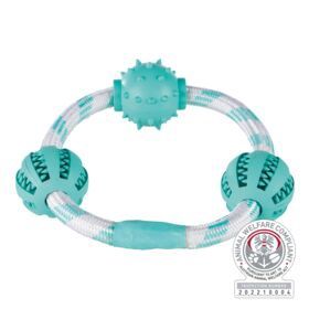 Dental fun toy  33704