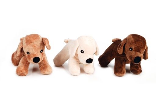 BZ PLUCHE HOND ASCO 619384