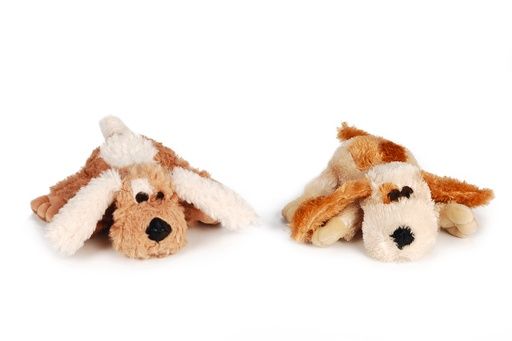 BZ PLUCHE HOND BONO 619381