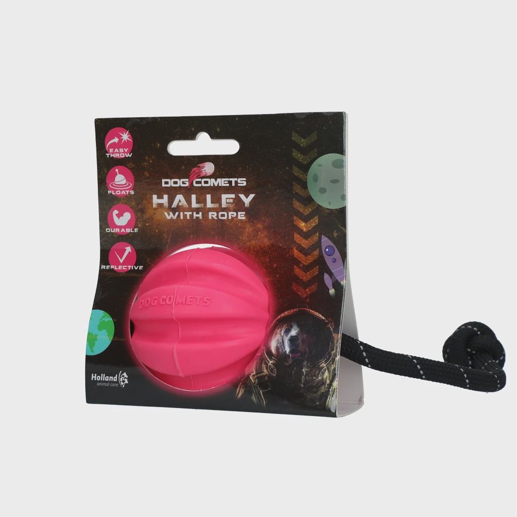 Dog Comets Ball Meteorite Roze met touw COME004A
