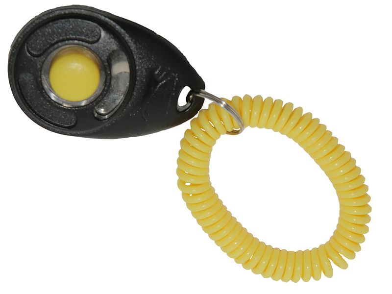 Pro trainer clicker deluxe  11548