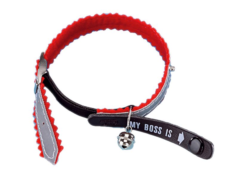 Halsband kat My Boss reflect rood 30cmx10mm   16567