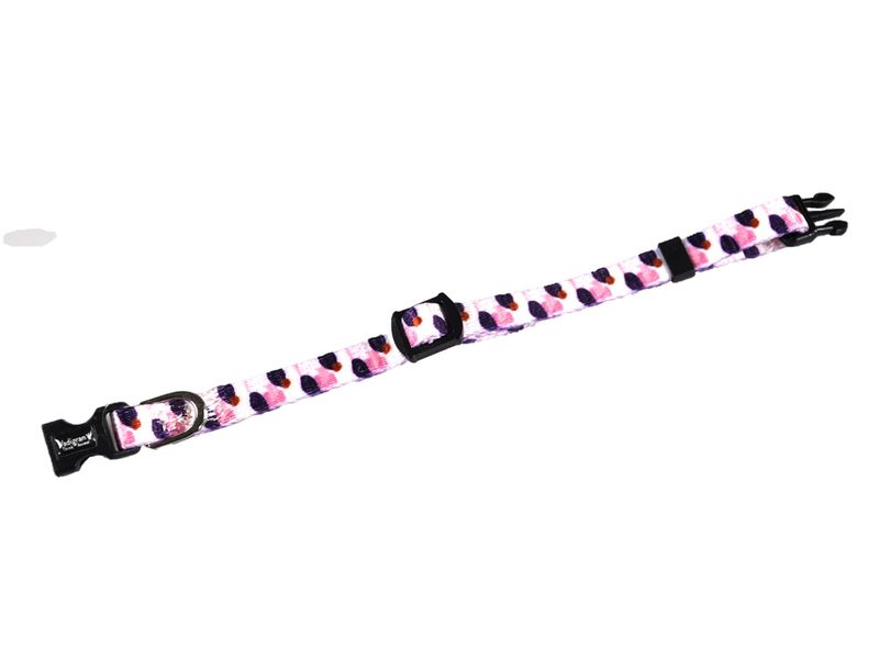 Halsband kitten paars/Wit 16-25cm x 8mm 19764