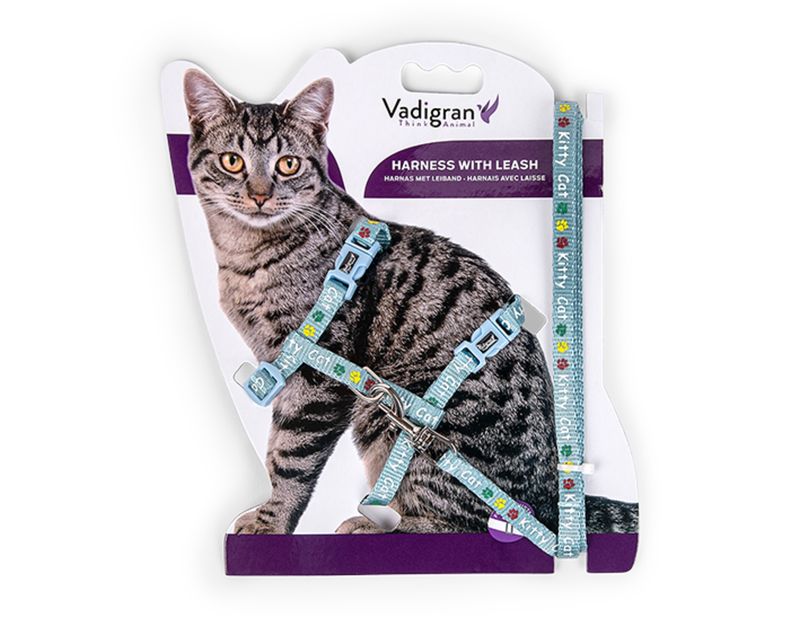 Harnas+Leiband Kitty Cat blauw 15-22/30-32cm+120cm   16596