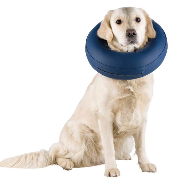 Beschermkraag, opblaasbaar L–XL: 66–78 cm/12 cm, blauw  19544