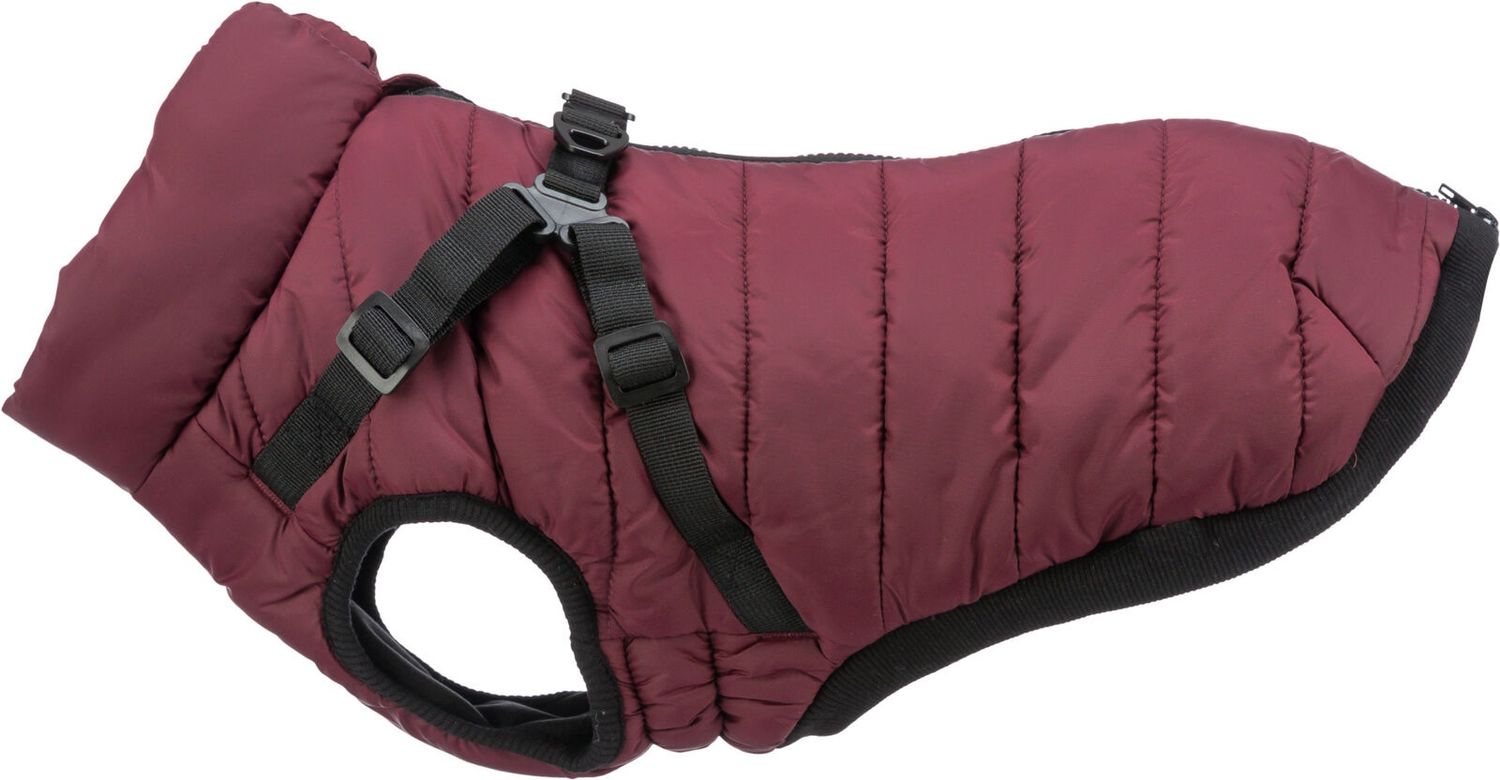 Winterjas Pirou met tuig, M: 45 cm, sangria 680396