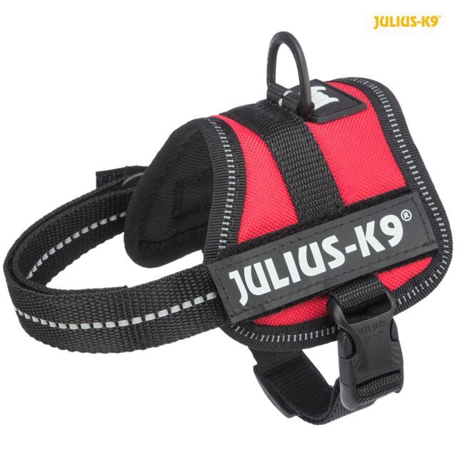 K9®Powertuig 3XS/Baby 1: 26–36 cm/18 mm, rood  150703