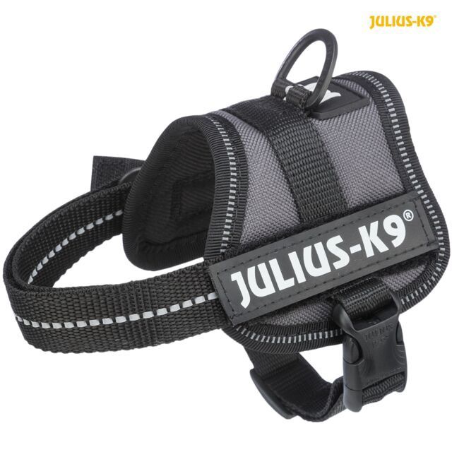 K9®Powertuig 3XS/Baby 1: 26–36 cm/18 mm, antraciet  150716