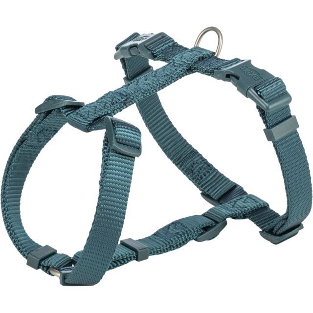 Premium H-tuig, L: 60–87 cm/25 mm, petrol 204932