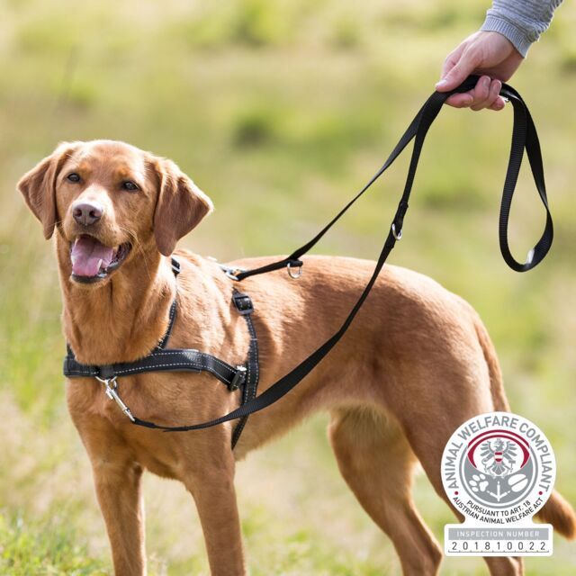 Trainingstuig Lead&#39;n&#39;Walk Soft S–M: 45–70 cm/25 mm, zwart 13055
