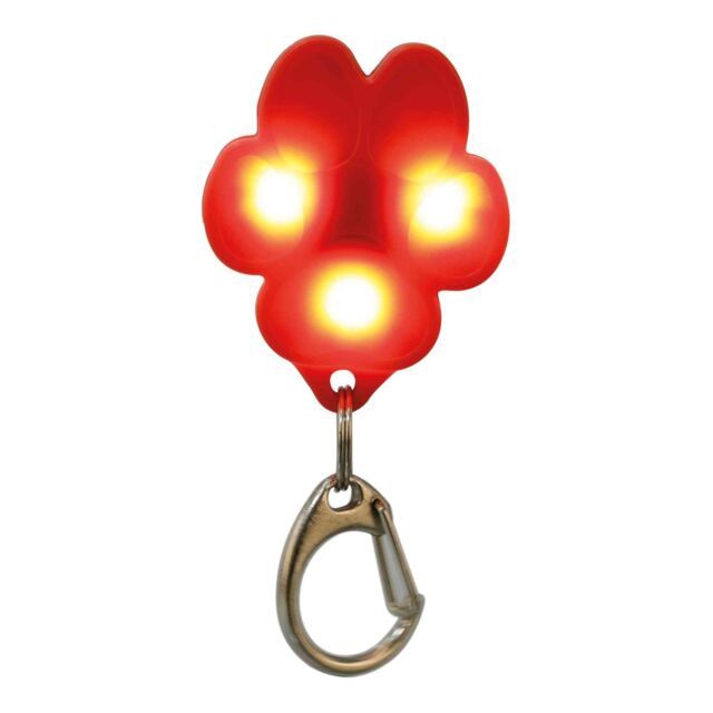 Flasher USB 3,5 × 4,3 cm  13449