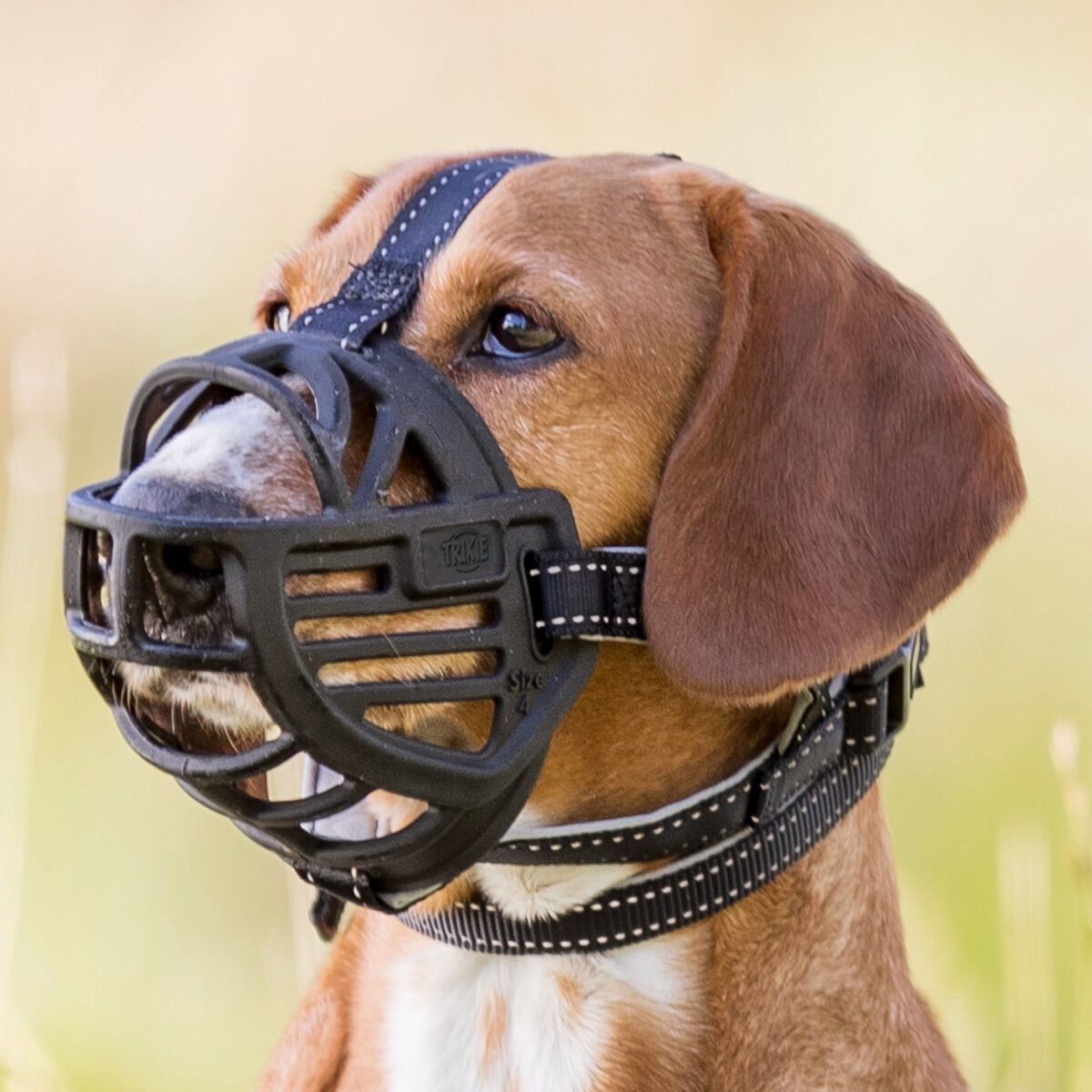 Muzzle Flex muilkorf, rubber M–L, zwart 17613