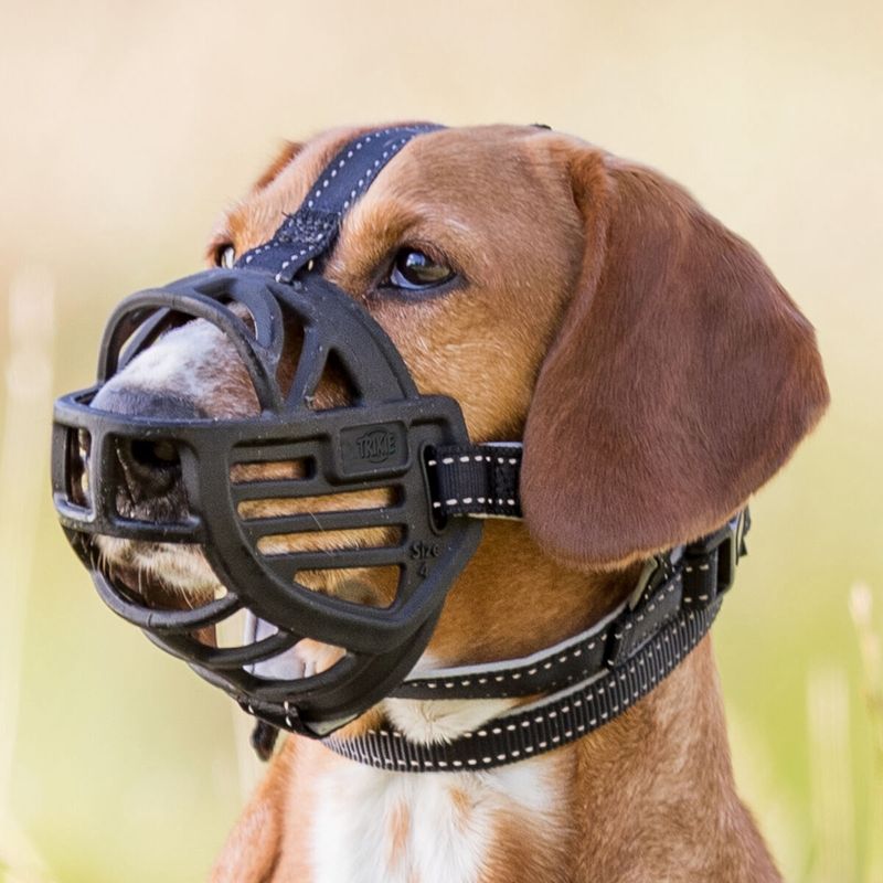 Muzzle Flex muilkorf, rubber M–L, zwart 17613