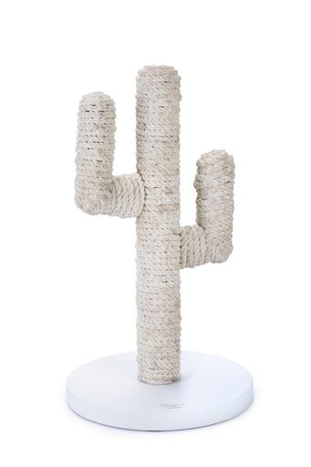 DBL HOUT KRABP CACTUS WIT 35X35X60  408857