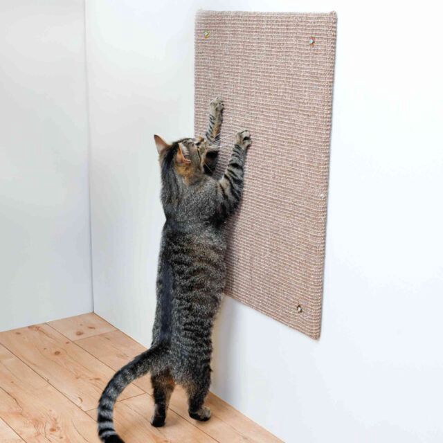 Krabplank XXL, sisaltapijt, catnip 50 × 70 cm, taupe  43166