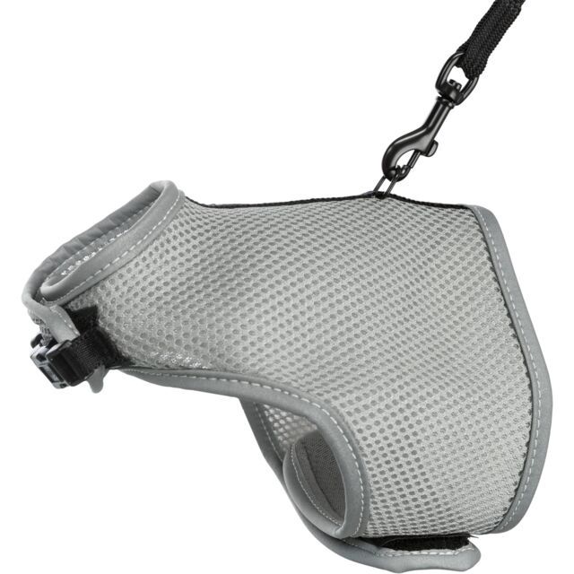 Softtuig, kat, met riem 24–42 cm, 1,20 m 41896