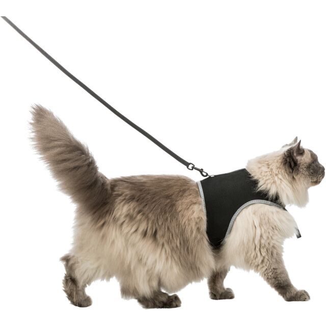 Softtuig, kat, met riem XXL 36–54 cm, 1,20 m, zwart 41895