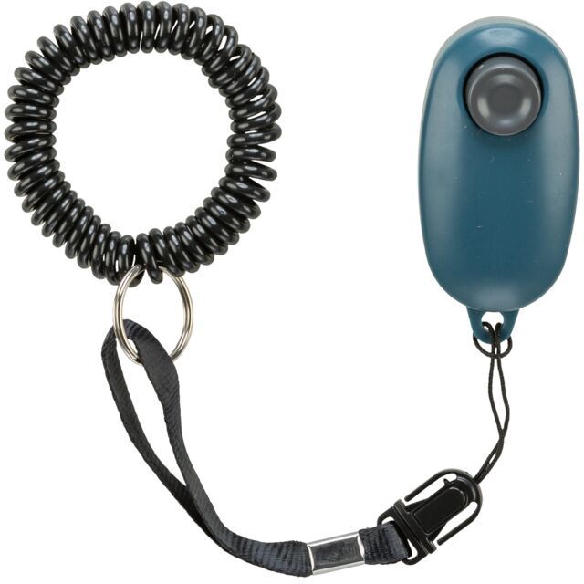 Soft clicker 2298